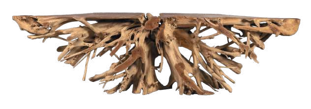 Consolle Roots — Radici di Teak Intrecciate 300 cm